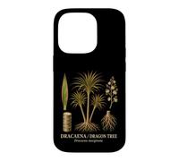 Dracaena dragontree Dracaena marginata plant anatomy Case for iPhone 14 Pro