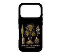 Dracaena dragontree Dracaena marginata plant anatomy Case for iPhone 17 Pro