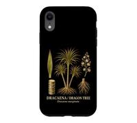 Dracaena dragontree Dracaena marginata plant anatomy Case for iPhone XR