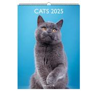 DRAEGER PARIS 1886 - Cat Wall Calendar 2025 - Large Format 29 x 39 cm - Jan-Dec - Decorative Illustrations - Original Gift Idea - FSC Paper & Vegetable Inks - Multilingual - Displayable Photos