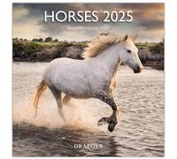 DRAEGER PARIS 1886 | Large Wall Calendar 2025 | 29 x 29 cm | September 2024 to December 2025 | 12 Themes and Photographs | 7 Languages | FSC Eco Paper | Sustainable Aesthetic Design