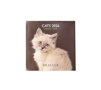DRAEGER PARIS 1886 - Large Wall Calendar 28 x 29 cm 2026 - Cats Theme - 12 Months - FSC Paper - Detachable Illustrations