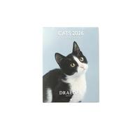 DRAEGER PARIS 1886 - Small Wall Calendar 13 x 18 cm 2026 - Cats Theme - 12 Months - FSC Paper - Detachable Illustrations