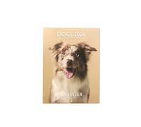 DRAEGER PARIS 1886 - Small Wall Calendar 13 x 18 cm 2026 - Dogs Theme - 12 Months - FSC Paper - Detachable Illustrations