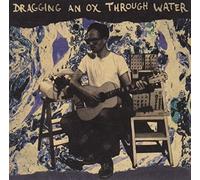 DRAGGING AN OX THROUGH WATER - Panic Sentry