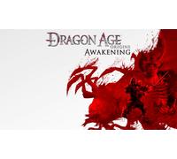 Dragon Age: Origins Awakening