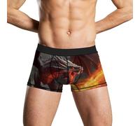 Dragon And Human War Men's Boxer Briefs Soft Underwear Stretch Trunks Shorts Underpants for Men
