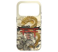 Dragon and Nine Tailed Fox Japanese Mythology Art Print Case for iPhone 17 Pro