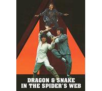 Dragon and Snake in the Spider's Web
