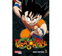 Dragon Ball Massiv 1