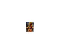 Dragon Ball Z Burning Fighters Son Goku 16 cm