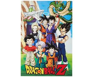 Dragon Ball Z (Unbreakable Bonds Micro Wooden Wall Art