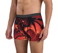 Dragon Burning Lava Cool Red Dark Mens Boxer Briefs Funny Underwear Stretch Comfort Breathable Soft L