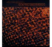 Dragon - in.Formation