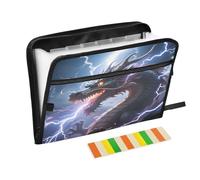Dragon Lightning Expanding File Folder A4,13 Pockets File Organiser, Paperwork A4 Plastic Wallet Document Storage Expander for School,Office and Home