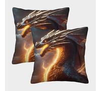 Dragon Mythical Creature-fantasy Epic Dragon Art Pillow Covers 2 Pack Cozy Pillowcases Art Cushion Case with Invisible Zipper Decorative Sofa for Living Room Bedroom 40x40cm