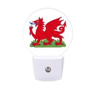 Dragon of Wales Night Lights with Smart LED Sensor Plug in Lighting for Bedroom Bathroom Kitchen