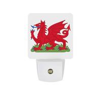 Dragon of Wales Night Lights with Smart LED Sensor Plug in Lighting for Bedroom Bathroom Kitchen