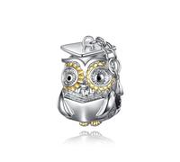 Dragon Owl Graduation Cat Pony Horse Mother Daughter Charm Bead Pendant 925 Sterling Silver Compatible With Pandora Charm Moments Bracelet (Graduation Wise Owl Diploma Exam Pass Universtiy)