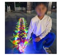 Dragon Poi LED Ribbon Poi for Luminous Dragon Dance - Perfect for Chinese Festivals & Celebration Dance Parties(Multi-colored,16.4ft)