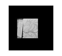 Dragon Shield Deck Shell - Ashen White