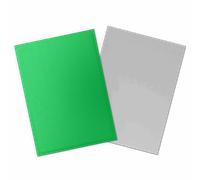 Dragon Shield: Matte - Dual Apple Green & Silver (100)