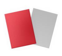 Dragon Shield: Matte - Dual Crimson & Silver (100)