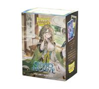 Dragon Shield | Matte Art Sleeves | 100 CT - Smooth & Tough Premium TCG Sleeves | Compatible with Pokemon, Flesh & Blood, One Piece & Magic the Gathering | Kongming, Wayward Maven