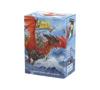 Dragon Shield Dual Art Sleeves - The Raid (100)