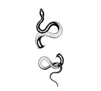 Dragon snake temporary tattoo sticker, waterproof tattoo, lasts to 15 days fake tattoo(04)