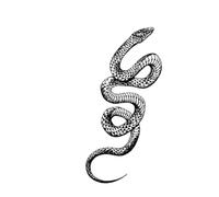 Dragon snake temporary tattoo sticker, waterproof tattoo, lasts to 15 days fake tattoo(05)
