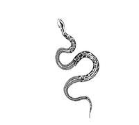 Dragon snake temporary tattoo sticker, waterproof tattoo, lasts to 15 days fake tattoo(07)