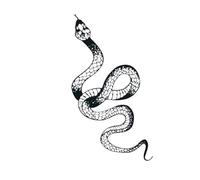 Dragon snake temporary tattoo sticker, waterproof tattoo, lasts to 15 days fake tattoo(10)