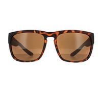 Dragon Sunglasses Rune XL 40731-246 Matte Tortoise Bronze