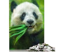 Dragon Warrior Puzzle 300 Piece Adult Jigsaw Puzzle Puzzle for Adults And Teenager Jigsaw Puzzles for Adults Educational Game Challenge Toy 300pcs (40x28cm)