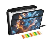 Dragon with Ice and Flame Accordion File Organizer 13 Pockets Expandable File Folder with Labels Bill Receipt Document Holder