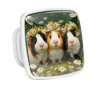 DragonBtu 4 Pack Square Cabinet Handle Cupboard Glowing in the Dark Drawer Pulls Handle Cute Guinea Pig Drawer Knobs with Screws Furniture Decor