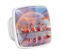 DragonBtu 4 Pack Square Cabinet Handle Cupboard Glowing in the Dark Drawer Pulls Handle Flamingos and Rainbow Drawer Knobs with Screws Furniture Decor