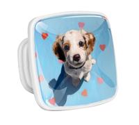 DragonBtu 4 Pack Square Cabinet Handle Cupboard Glowing in the Dark Drawer Pulls Handle Love Heart and Dog Drawer Knobs with Screws Furniture Decor