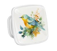 DragonBtu 4 Pack Square Cabinet Handle Cupboard Glowing in the Dark Drawer Pulls Handle Watercolor Bird Leaf Drawer Knobs with Screws Furniture Decor