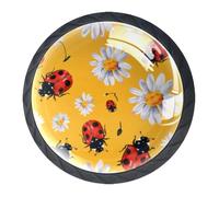 DragonBtu Set of 4 Glass Knobs Kitchen Cabinet Cupboard Door knobs, Chest, Furniture, Drawer Handles with Ladybug Daisies
