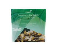 Dragonfli Gooseberry Sawfly Killer Nematodes - Naturally Kill Gooseberry Sawfly Larvae Pests