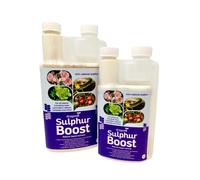 Dragonfli Sulphur Boost - Bolster Healthy Plant Growth & Protect From Diseases - Boost Lettuce, Roses, Cucumbers, Tomatoes, Strawberries & More (500ml)
