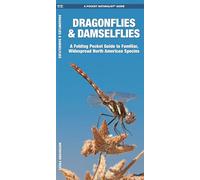 Dragonflies & Damselflies: A Folding Pocket Guide to Familiar Widespread, North American Species (A Pocket Naturalist Guide) (Pocket Naturalist Guide Series)