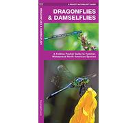 Dragonflies & Damselflies: A Folding Pocket Guide to Familiar Widespread, North American Species (A Pocket Naturalist Guide) (Pocket Naturalist Guide Series)