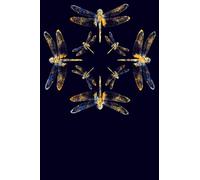 Dragonflies Lined Notebook: Dragonfly Lovers Journal on a 6 x 9 Inch Matte Softcover With 110 Blank College Ruled Lined Pages. Original Eight Dragonfly Design on the Cover