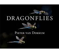 Dragonflies: Magnificent Creatures of Water, Air, and Land