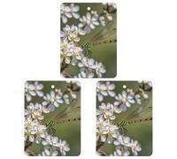 Dragonflies on Flowers And Branches Car Air Freshener, 3 Pcs Square Hanging Air Freshener Cards, Long Lasting Fragrance Scented Cards for Car, Home, Office Black-style