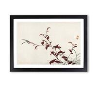 Dragonfly by Kono Bairei Framed Print | A2 Black Framed Wall Art | Ready to Hang | Modern Animal Picture | Living Room Bedroom Lounge Office