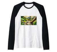 Dragonfly Captures Prey Close up Alpha Predator Raglan Baseball Tee